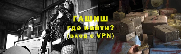 индика Аркадак