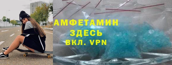 индика Аркадак