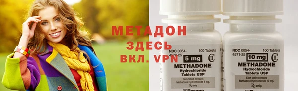 индика Аркадак
