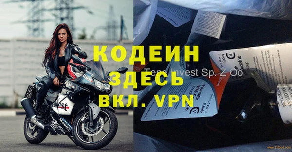 индика Аркадак