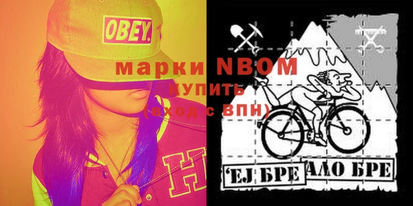 индика Аркадак