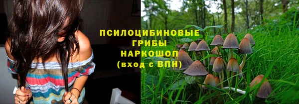 индика Аркадак