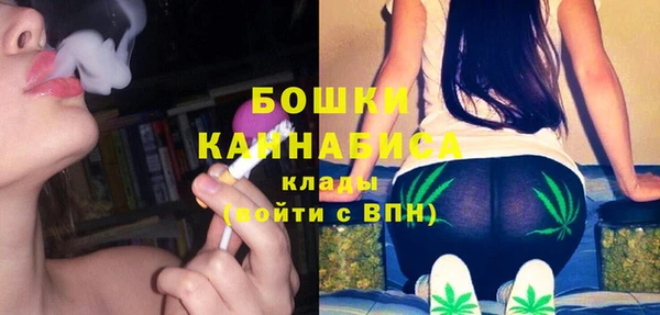 индика Аркадак