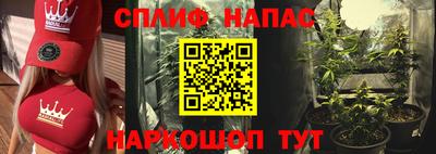 крисы Долгопрудный