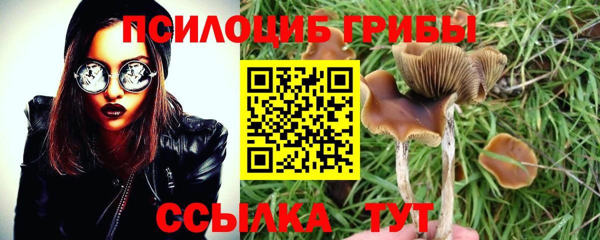 Белебей  где можно купить   Вход с VPN  Галлюциногенные грибы Psilocybine cubensis 