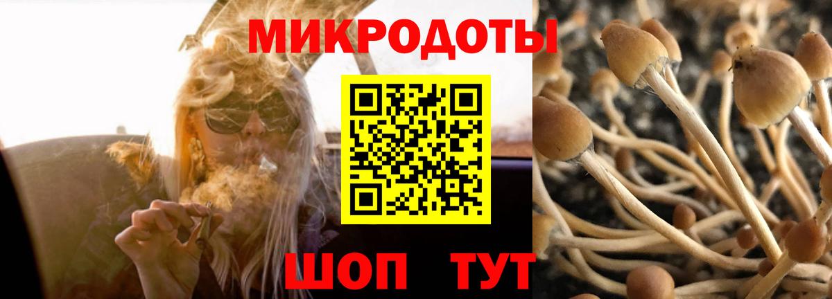 Псилоцибиновые грибы MAGIC MUSHROOMS Белебей